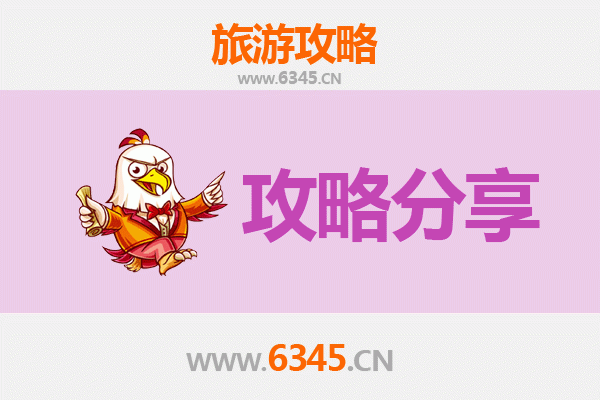 阿拉尔兵团十三团旅游攻略：跟团与自由行深度对比